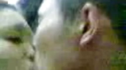 Slender nederlandse sexfilm nodigt uit voor anale beukende.