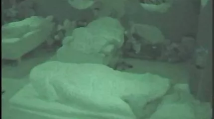 Ik nam een grote pik in mijn mond. gratis nederlandse seks