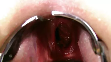 Een mooie leraar gratis nederlandse sexfilms verleidt een tweedejaars.