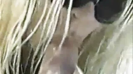 Kale man die seks heeft. Hij verloste de schuld. free nederlandse porn