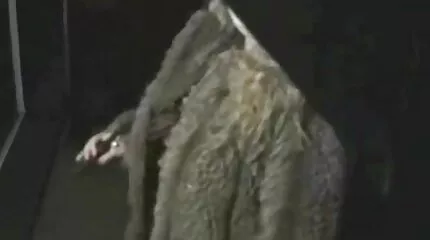 Nicole Zwart en J gratis nederlandse sexfilms