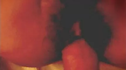 Leuke doodles gratis nederlandse sex pijpbeurt en zadel lul.